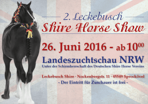 Shirehorse-Show